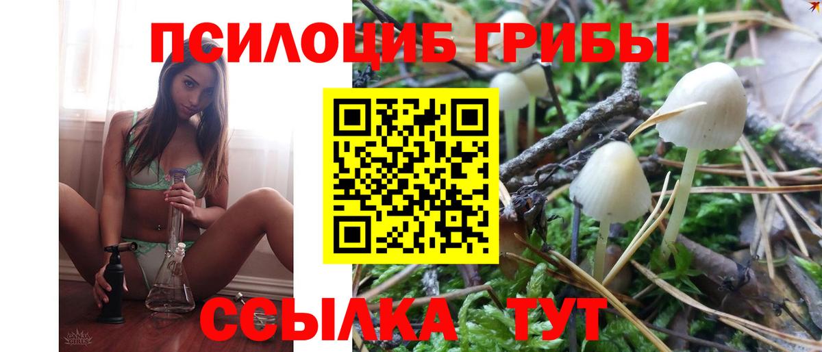 Псилоцибиновые грибы Cubensis Таганрог