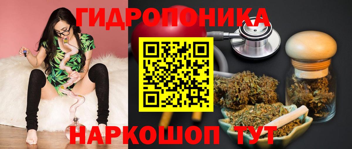 Псилоцибиновые грибы Таганрог